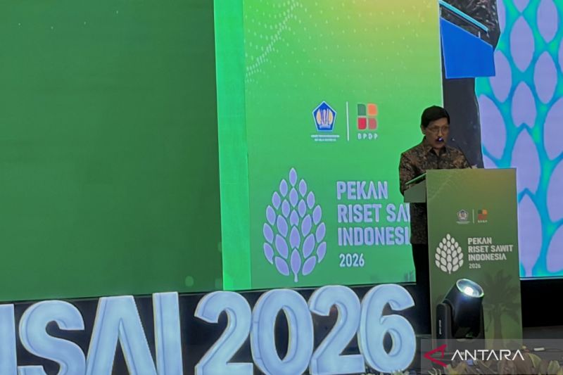 BPDP: Keunggulan sawit harus diiringi peningkatan nilai tambah