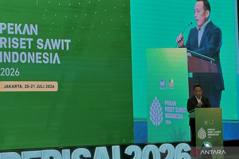 PalmCo: Penguatan kelembagaan petani pacu budidaya sawit berkelanjutan