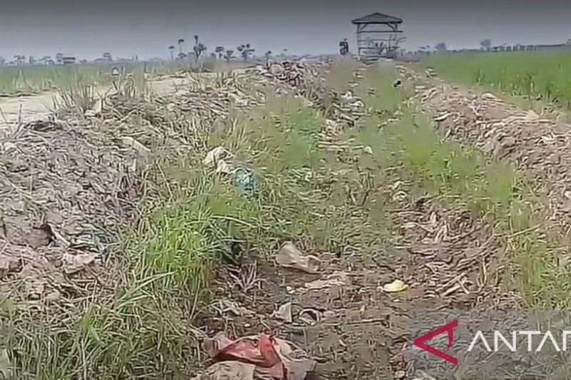 Pemkab Subang salurkan bantuan pompa air atasi kekeringan landa sawah