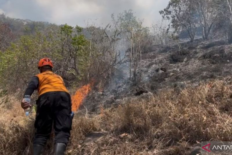BNPB: Kebakaran 48 hektare lahan perbukitan di Buleleng Bali padam