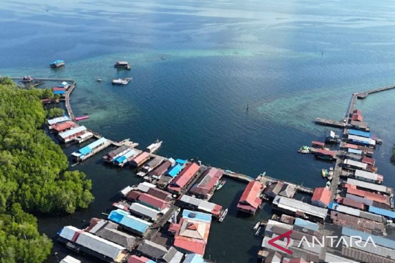 Dispar Kaltim optimalkan daya tarik hiu paus untuk wisata Pulau Miang