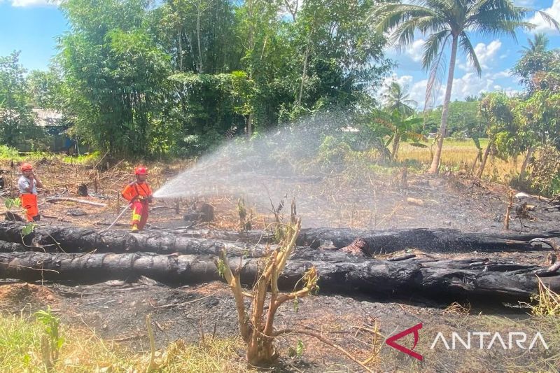 BNPB: Karhutla di Tapin dan HSS Kalsel padam, patroli rawan diperketat