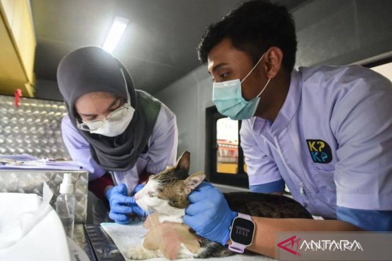 Pekan pertama mobil klinik hewan keliling di Jaktim layani 128 hewan