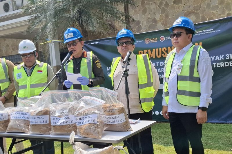 Barantin musnahkan 312 ton MBM asal Brasil yang mengandung porcine