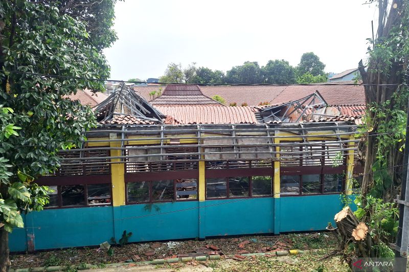 Pohon di area SDN Kebayoran Lama Selatan 09 Pagi mulai ditebang
