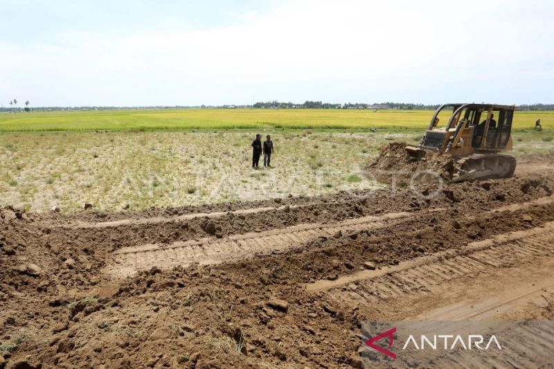 Pemerintah pacu pemulihan sawah terdampak bencana Aceh