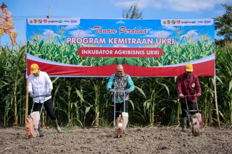 Kemen UMKM dorong petani bangun skala ekonomi lewat kelompok usaha
