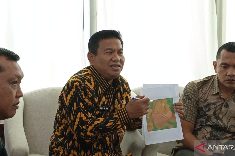 Image Print