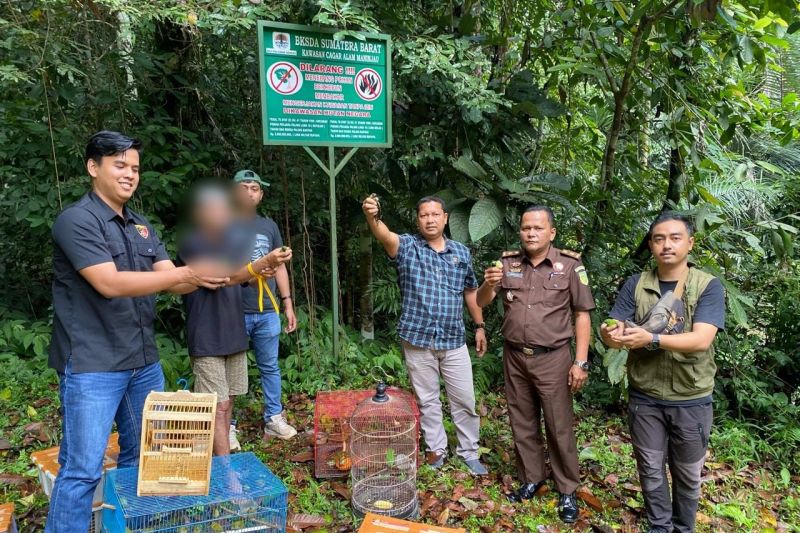 Polres Agam-BKSDA Sumbar lepasliar ratusan burung ke hutan konservasi