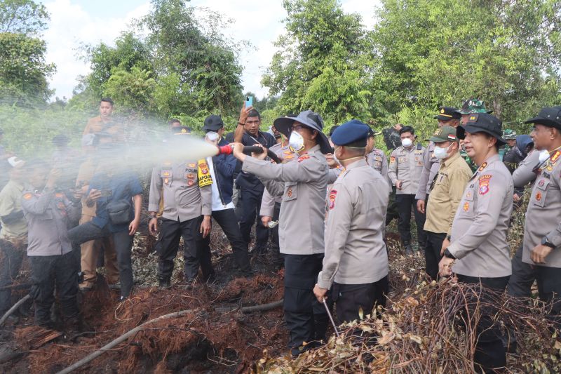 Delapan pemilik lahan jadi tersangka pembakaran di Pulang Pisau Kalteng