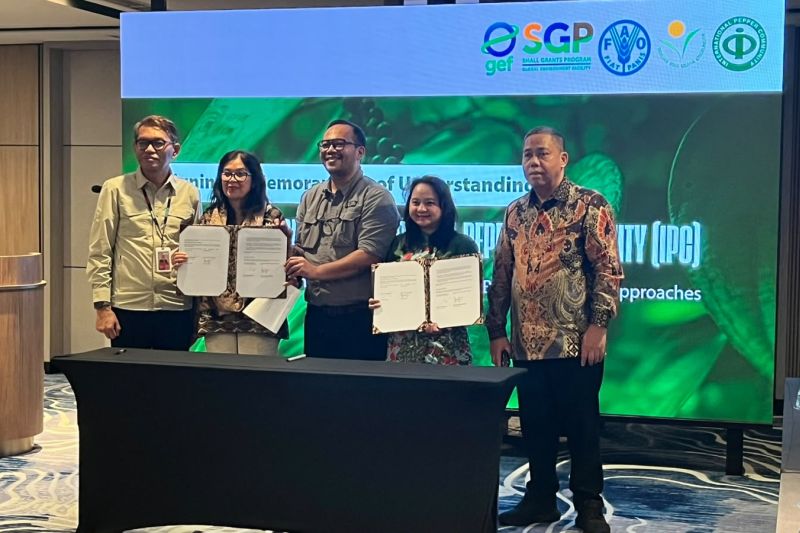 GEF SGP: Pendekatan ekologi lada upaya jaga kelestarian lingkungan
