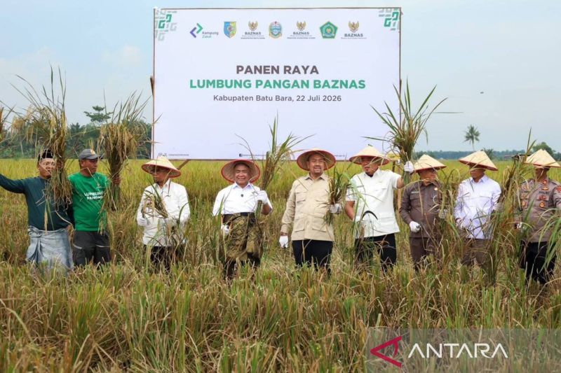 Baznas sukses bimbing petani mustahik panen raya 150 ton padi di Sumut