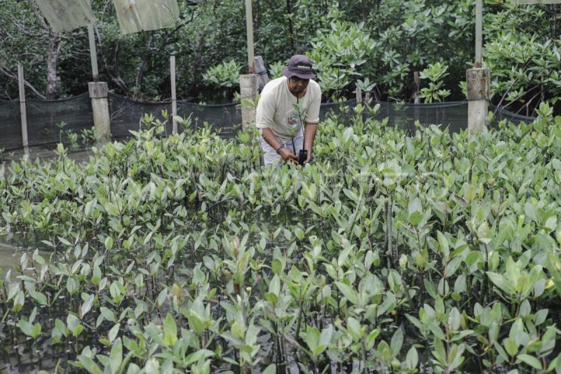 Pemerintah dorong UMKM masuk rantai pasok pariwisata Bintan