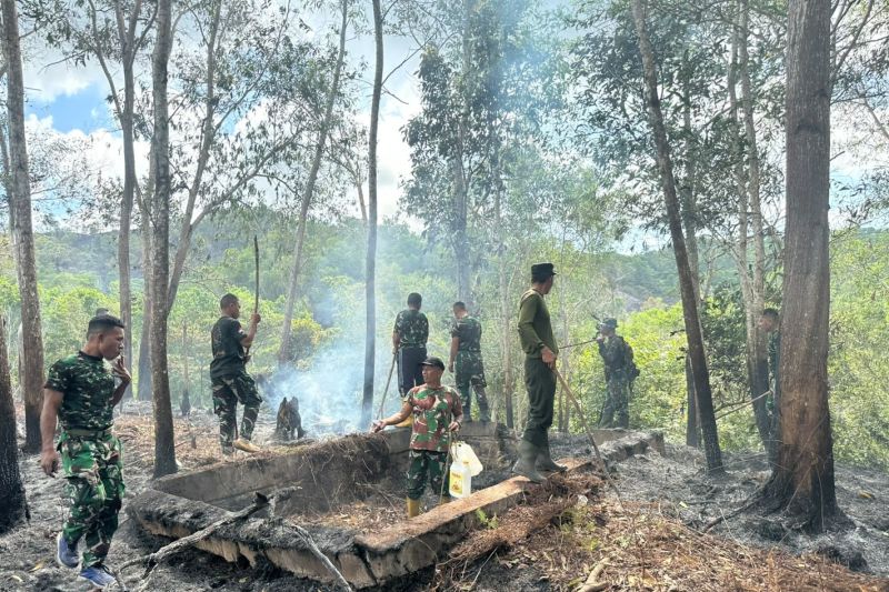 BNPB: Pemadaman api kebakaran lahan di Sorong masih berlangsung