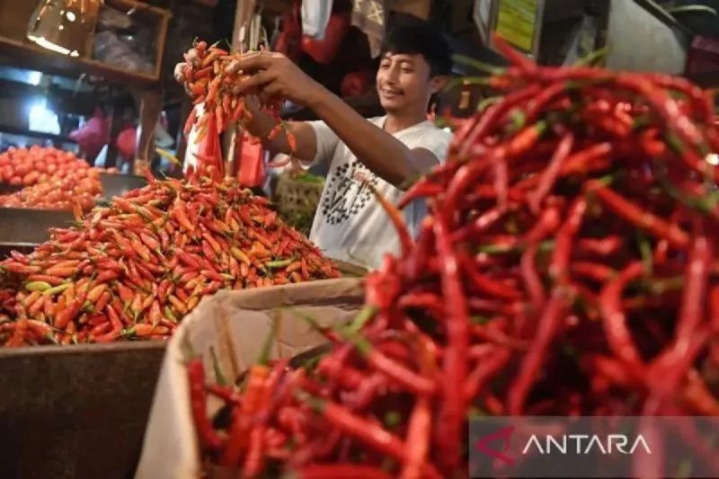 PIHPS: Harga cabai rawit Rp46.200/kg, telur ayam Rp28.200/kg