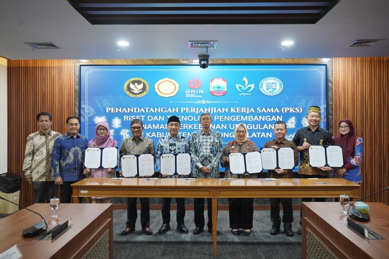 PTPN I jadi pusat riset bibit unggul perkebunan nasional