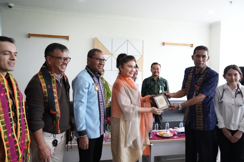 Wagub NTT dan DPR RI dorong percepatan layanan Cath Lab RSUD Komodo