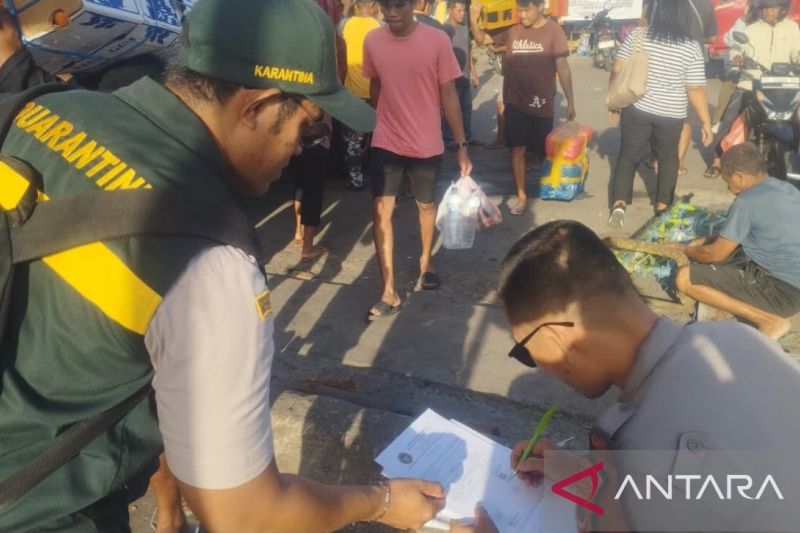 BKHIT Maluku perketat pengawasan lalu lintas unggas cegah flu burung