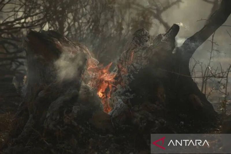 Prancis evakuasi lebih dari 141.000 orang akibat kebakaran hutan