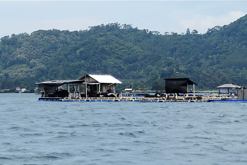 CILT: Ekonomi biru strategi penguatan daya saing logistik-rantai pasok