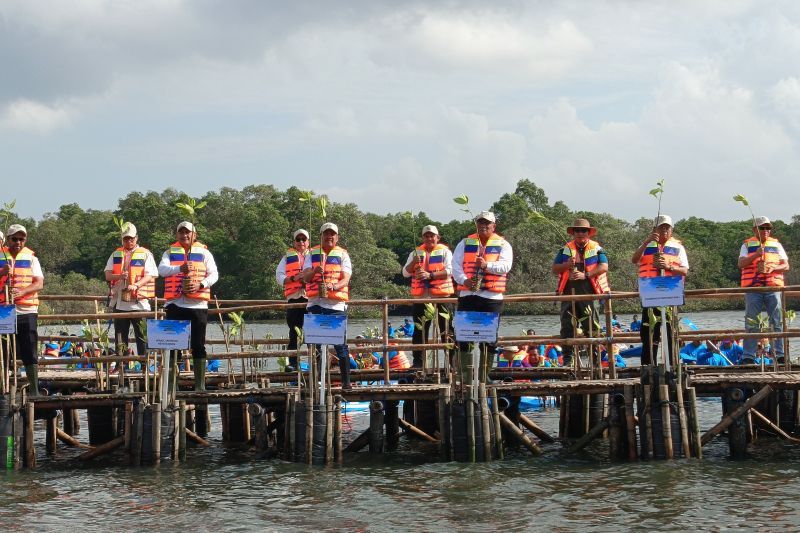 PLN Indonesia Power Tanam 15 ribu mangrove di Tahura Ngurah Rai