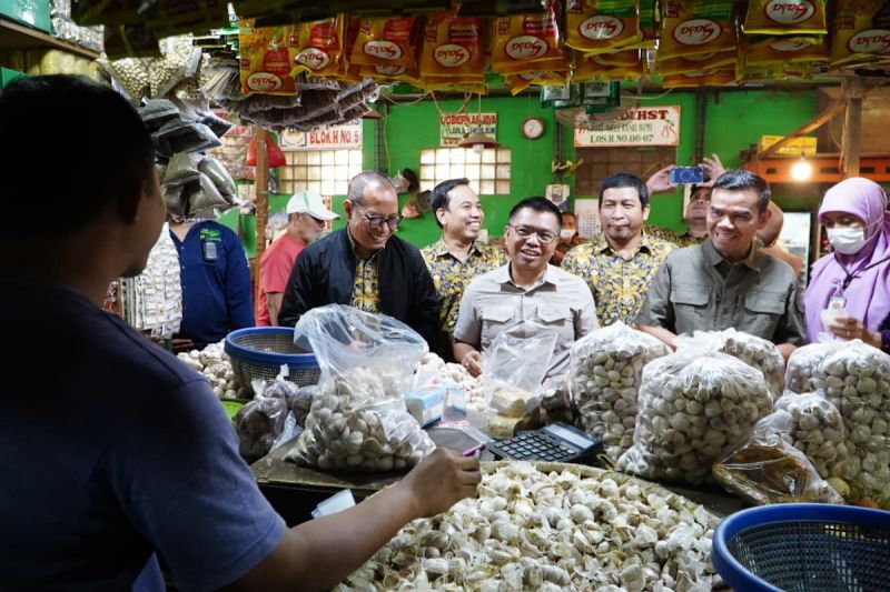 bapanas-gandeng-distributor-jaga-harga-bawang-putih-tetap-terkendali