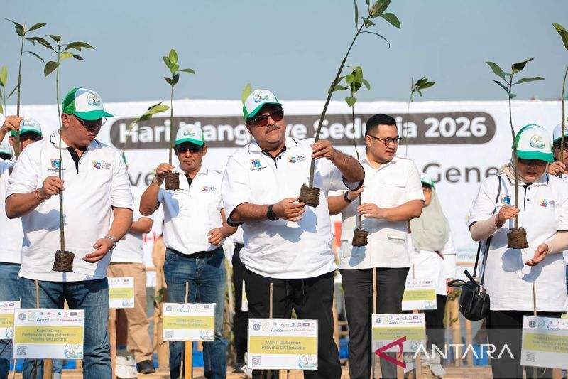 DKI kemarin, tanam bibit mangrove hingga kebakaran di Jaktim