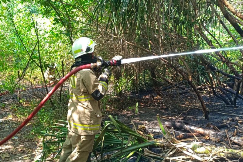 Bekas puntung rokok picu kebarakan lahan di Pulau Tidung