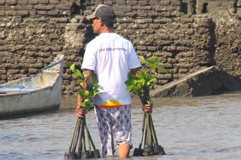 Hari Mangrove Sedunia Jadi Momentum BNI Perkuat Komitmen Pelestarian Lingkungan dan Ekonomi Pesisir