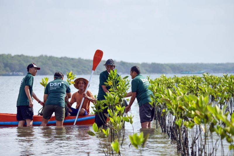 Hari Mangrove Sedunia, Bank BSN Monitoring 1.150 Bibit Mangrove di Bali