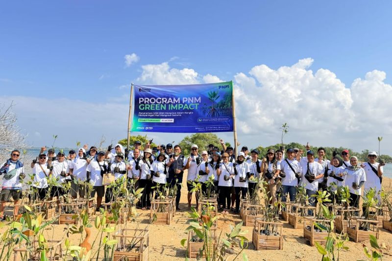 PNM hadirkan dampak berantai bagi lingkungan dan ekonomi pesisir di Hari Mangrove Sedunia