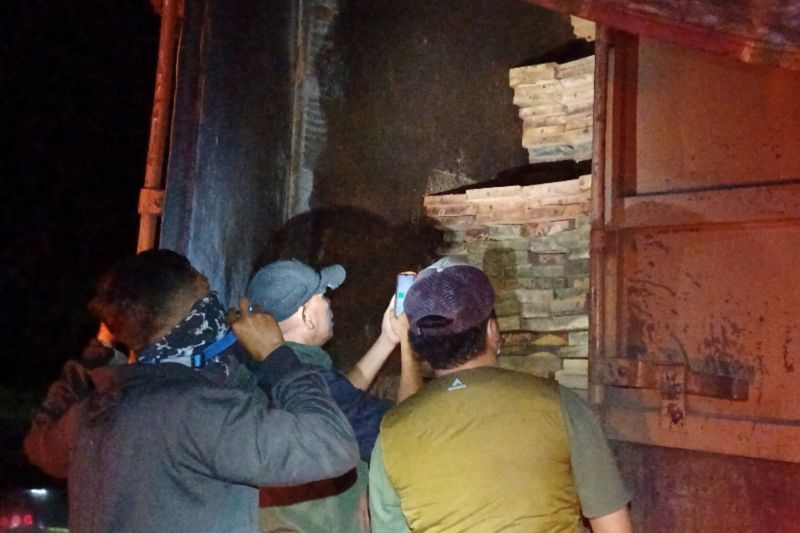 Kemenhut amankan tersangka pengangkut 598 kayu ilegal di Sumut