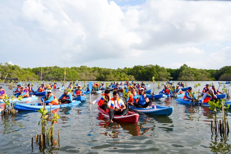 IMIP kolaborasi KLH wujudkan 1 juta mangrove