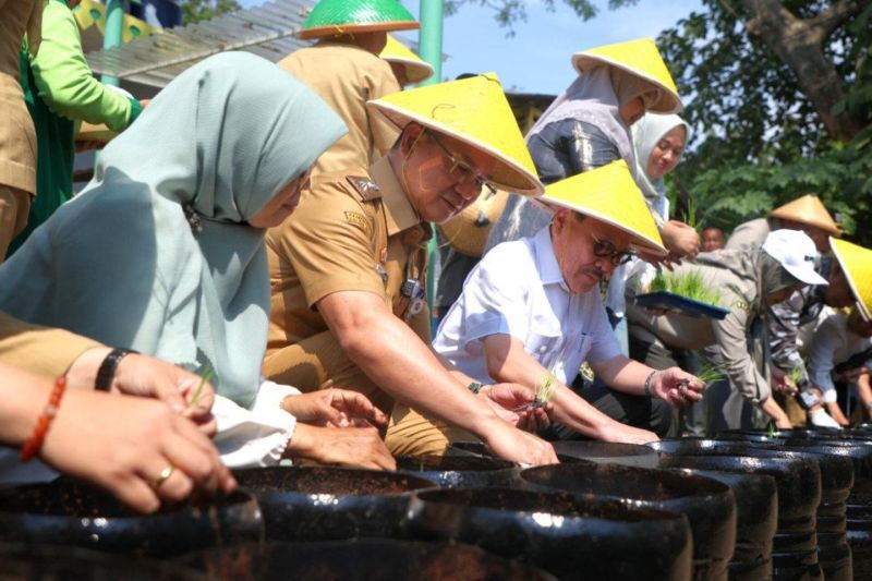 Pemkot Jaksel tanam padi dalam galon bekas di Pasar Minggu