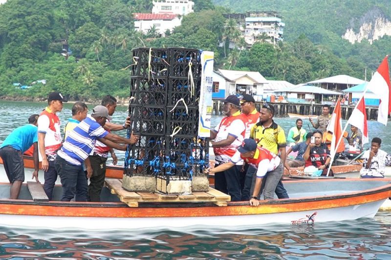 rumah-ikan-diperluas-untuk-tingkatkan-produksi-perikanan-jayapura