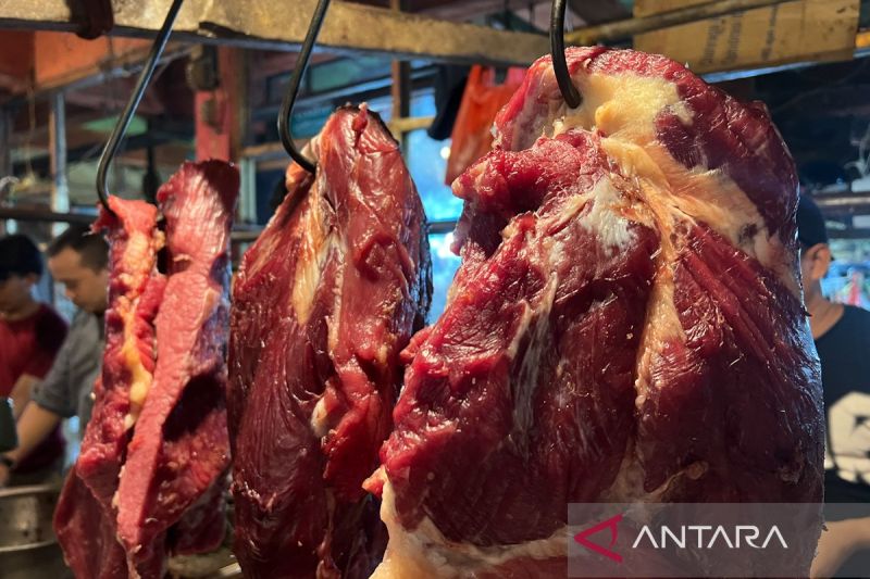 bapanas-perkuat-stabilisasi-harga-daging-sapi-bersama-bumn-dan-bumd