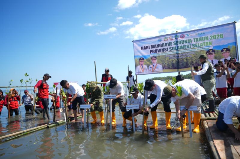 Pemprov Sulsel perkuat kolaborasi lestarikan ekosistem mangrove