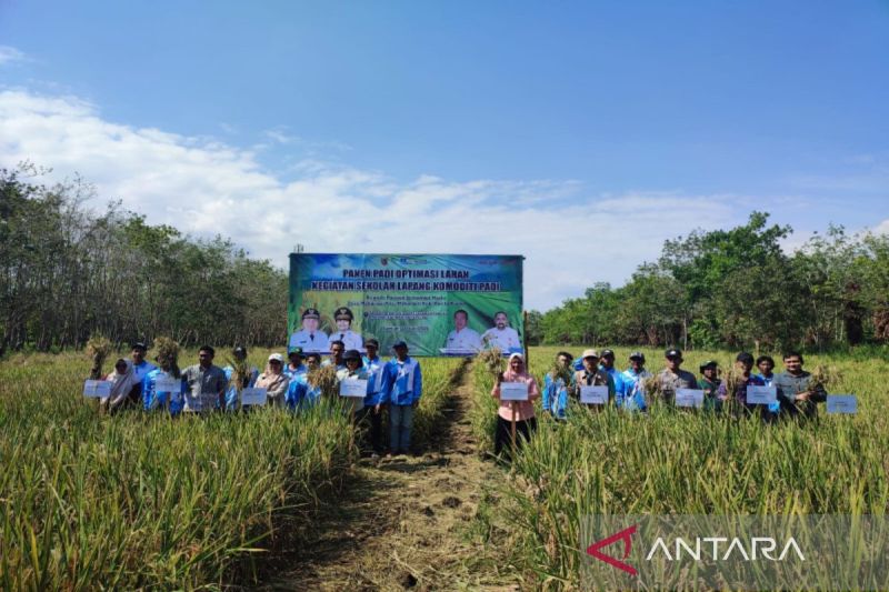 kementan-prioritaskan-barito-kuala-untuk-pengembangan-pm-aas