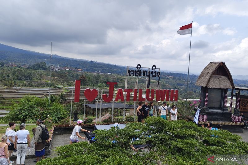 desa-jatiluwih-bali-garap-aktivitas-wisata-dorong-ekonomi-warga