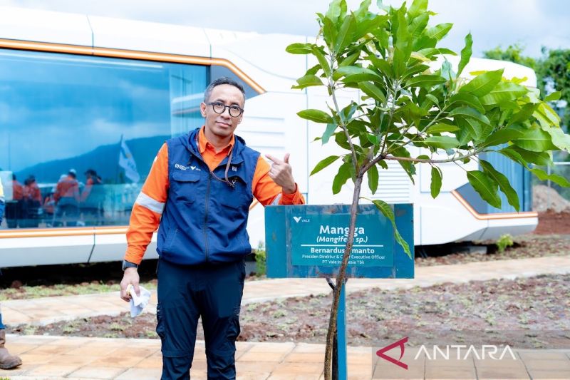 vale-indonesia-catat-penjualan-2-juta-ton-bijih-nikel-semester-i-2026