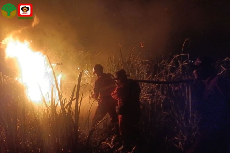 Manggala Agni padamkan karhutla seluas 15 hektare di Ogan Ilir