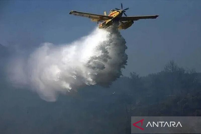 Kebakaran hutan Avila jadi yang terbesar dalam sejarah Spanyol