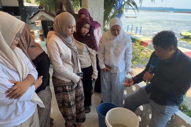 UI latih warga Pulau Pramuka budidaya ikan nila air payau