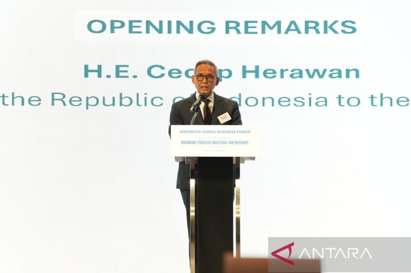Indonesia dorong investasi Korea Selatan di sektor strategis