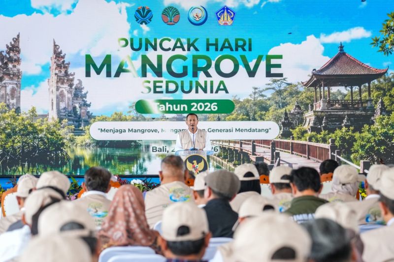 wamenhut-perlindungan-hutan-mangrove-beri-dampak-sosial-ekonomi