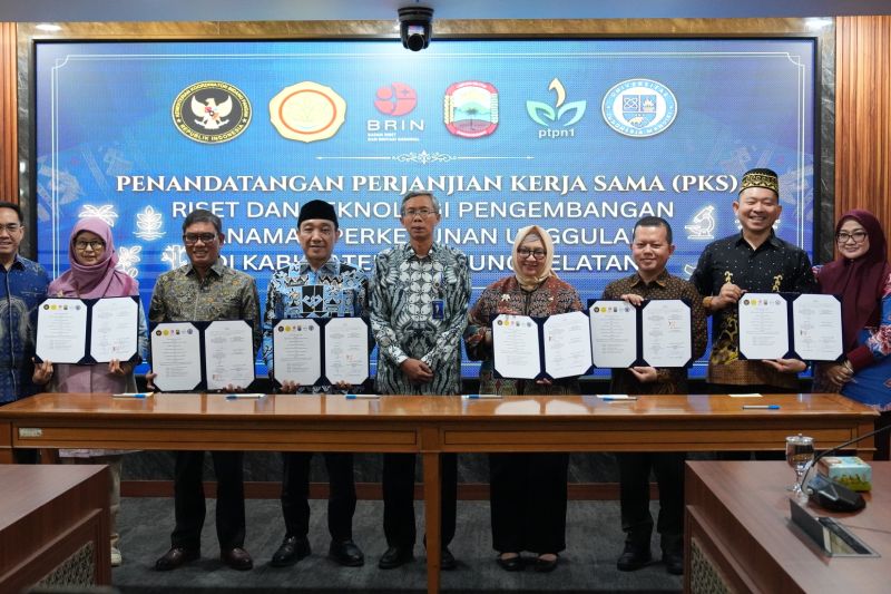 pemerintah-bangun-kebun-pembibitan-unggul-di-lampung-selatan