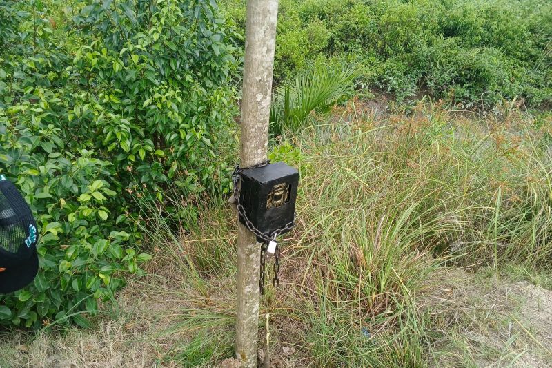BBKSDA Riau pasang kamera jebak pantau kemunculan harimau di Inhil
