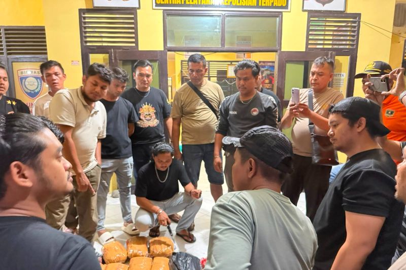 Tim Ditresnarkoba Polda Sumbar gagalkan peredaran puluhan paket ganja