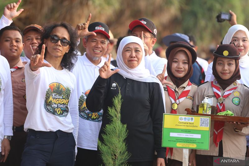 Kaka Slank apresiasi konsistensi Khofifah lestarikan mangrove