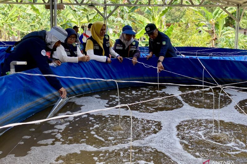 tinggalkan-laut-demi-ikan-air-tawar